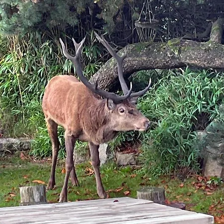 Ve054-vejers-strand-vejers-sydstrand-1-26 Apartamento *