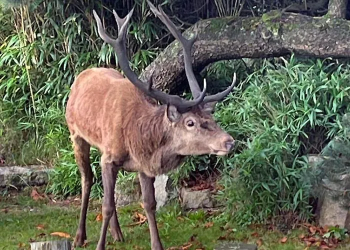 Ve054-vejers-strand-vejers-sydstrand-1-26 Apartamento *